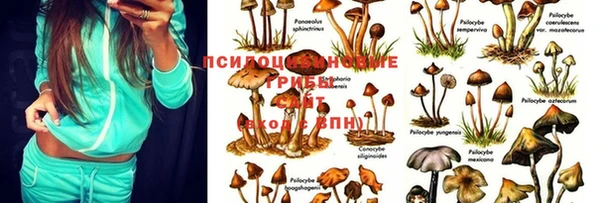 ешки Володарск