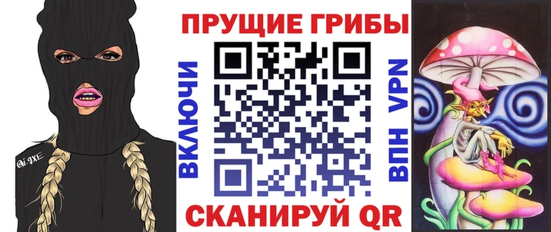 Псилоцибиновые грибы прущие грибы  OMG как зайти  Белгород 