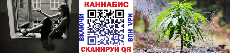 Конопля гибрид  Белгород 